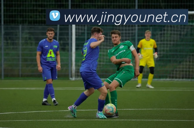 开云手机入口登录官网APP 体育赛事宣传图